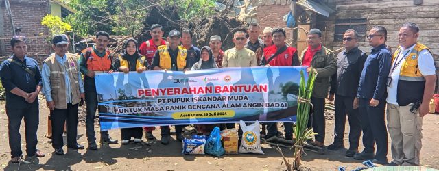 PT PIM